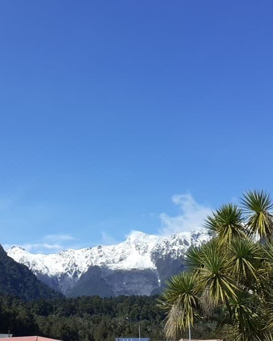 Fox Glacier Guiding tweet media