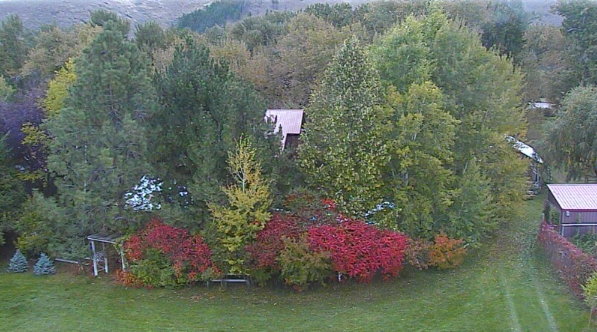 celia_pd tweet media