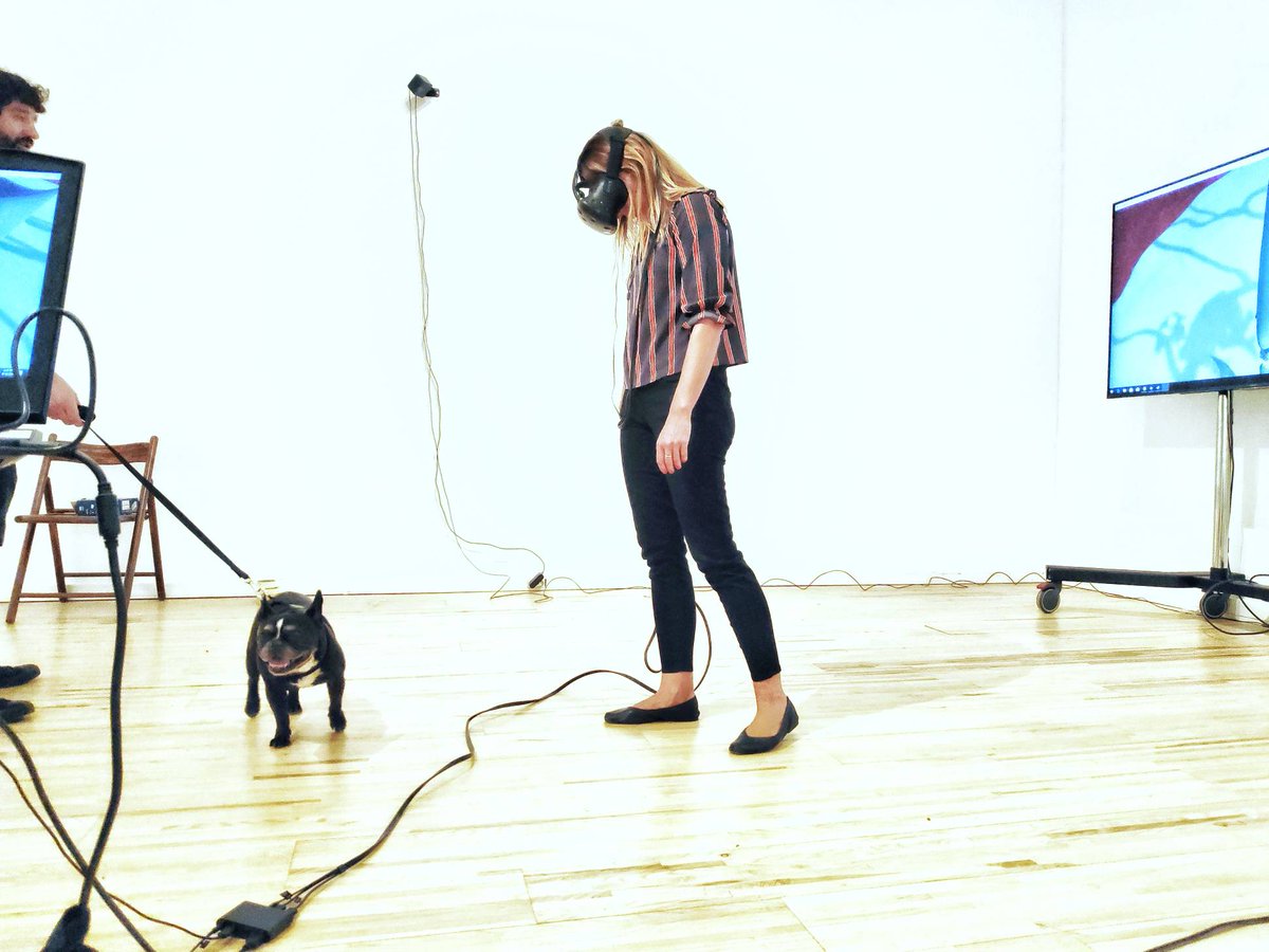 amaryllisvr's tweet photo. The senior curator at The Museum of Contemporary Art of Vojvodina, Sanja Kojić Mladenov, testing the installation before the opening.
The VR setup was also checked thoroughly by a cute, old dog with the energy of a puppy
#dogsinVR #playtesting #interactiveinstallation #VRart https://t.co/R6FIVJ9xA4