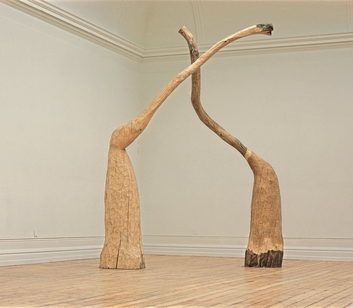 CoastalCultureTrail tweet media