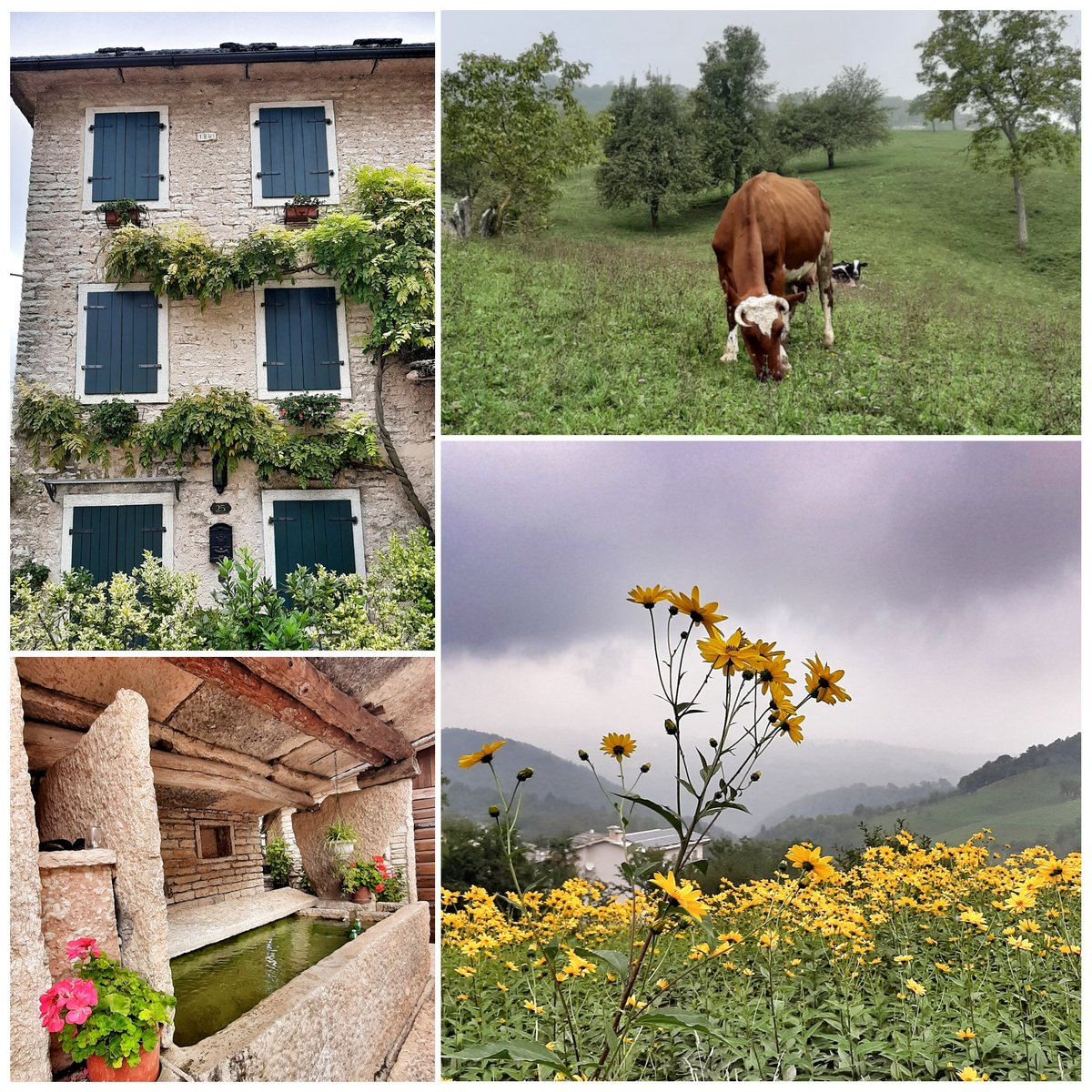 pizzo_76's tweet photo. camminando per antiche contrade
#meeters #lessinia #travel #ilikeitaly https://t.co/2gly0KUxil