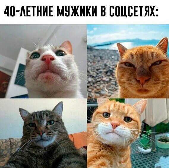 EFiAvbbW4AAIUn8?format=jpg&name=small