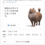 Googleの知られざる機能!動物名を検索すると3Dで表示できる!