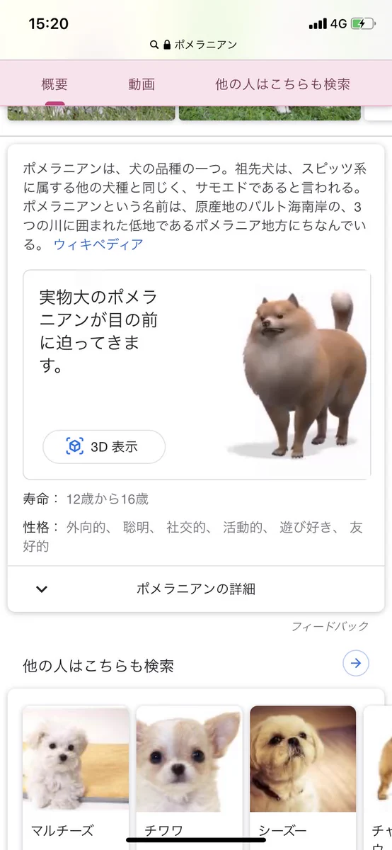Googleの知られざる機能！動物名を検索すると3Dで表示できる！