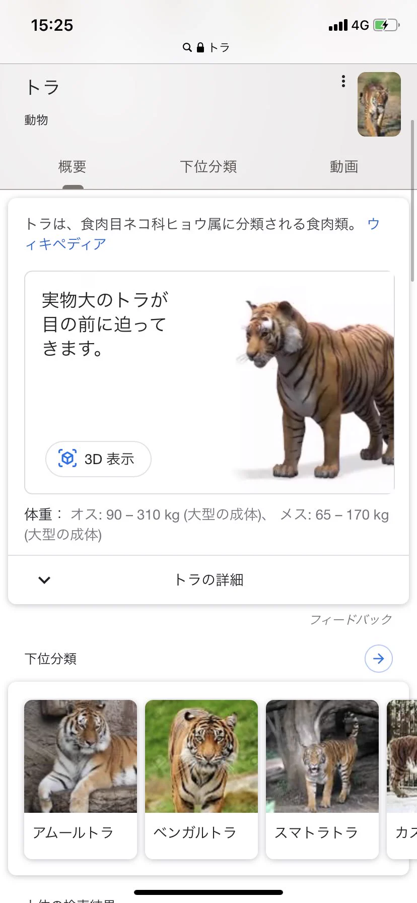 Googleの知られざる機能！動物名を検索すると3Dで表示できる！