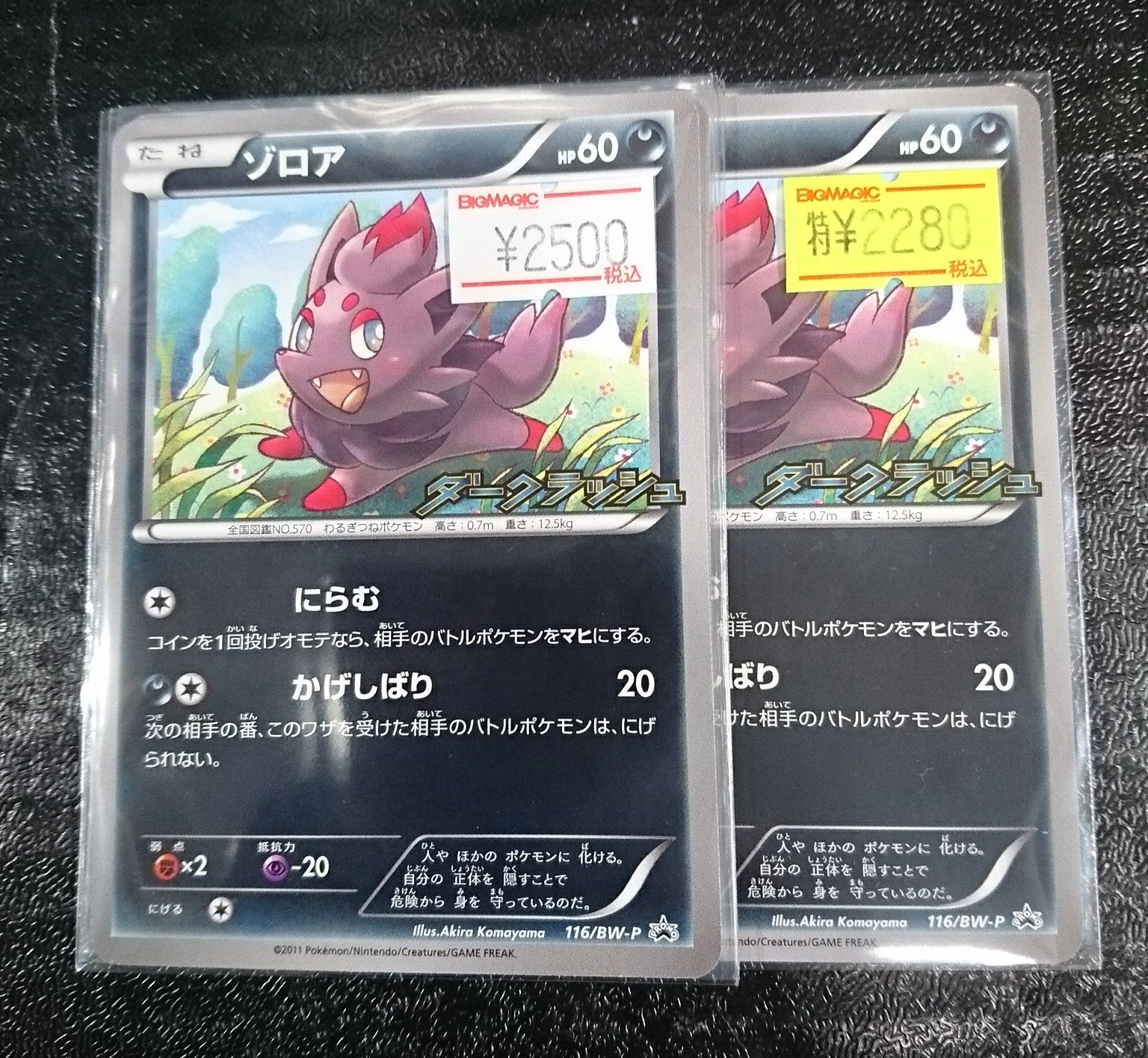 Bm池袋 ポケモンカード 入荷情報 最強のゾロア Bw Pのにらむゾロアが複数枚入荷しました ポケカ ポケモンカード T Co G8cwcf8o8a Twitter
