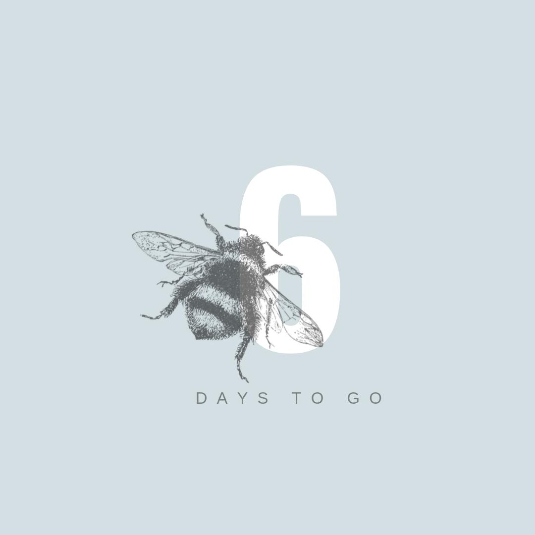 6 DAY'S TO GO !!⁣
⁣
The ball is coming around so fast and we can hardly contain our excitement 💙⁣
⁣
Make sure you contact Sam: 07763808140 or Andy: 07775 825 727 to secure your tickets.⁣
⁣⁣