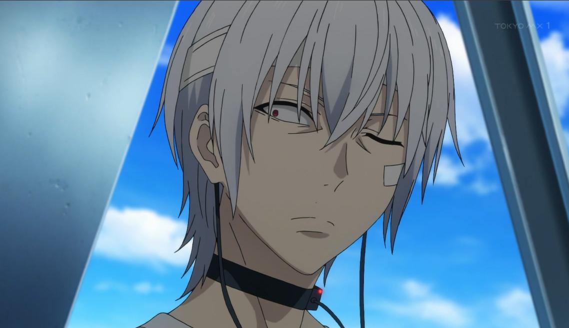 ラベンダー とある科学の一方通行 12話 ラストオーダーが買ってきた缶コーヒーをぶち抜かれ 切れたアクセラレータ 降ってきたのは トランク入り女の人 エステルは可愛いけど 中途半端な 感 禍斗は良かった アクセラレータは集団より個人