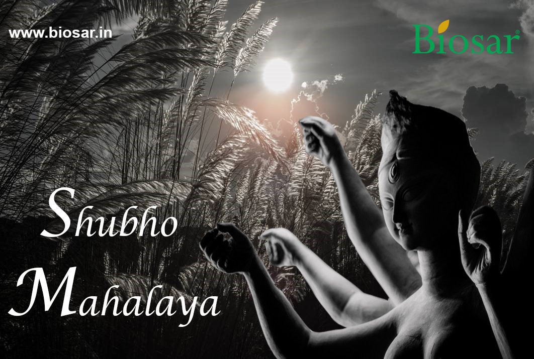 Biosar_IN's tweet photo. Shubho Mahalaya https://t.co/7fJ3z7jB4n