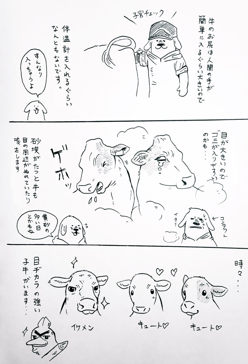 『涙?』

※漫画の中では「砂埃」と描いていますが、実際は「おが屑」(牛の寝床に敷く木屑)が舞い上がっていました。 