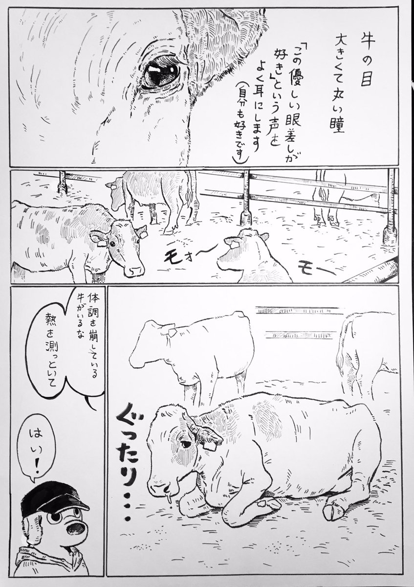 『涙?』

※漫画の中では「砂埃」と描いていますが、実際は「おが屑」(牛の寝床に敷く木屑)が舞い上がっていました。 