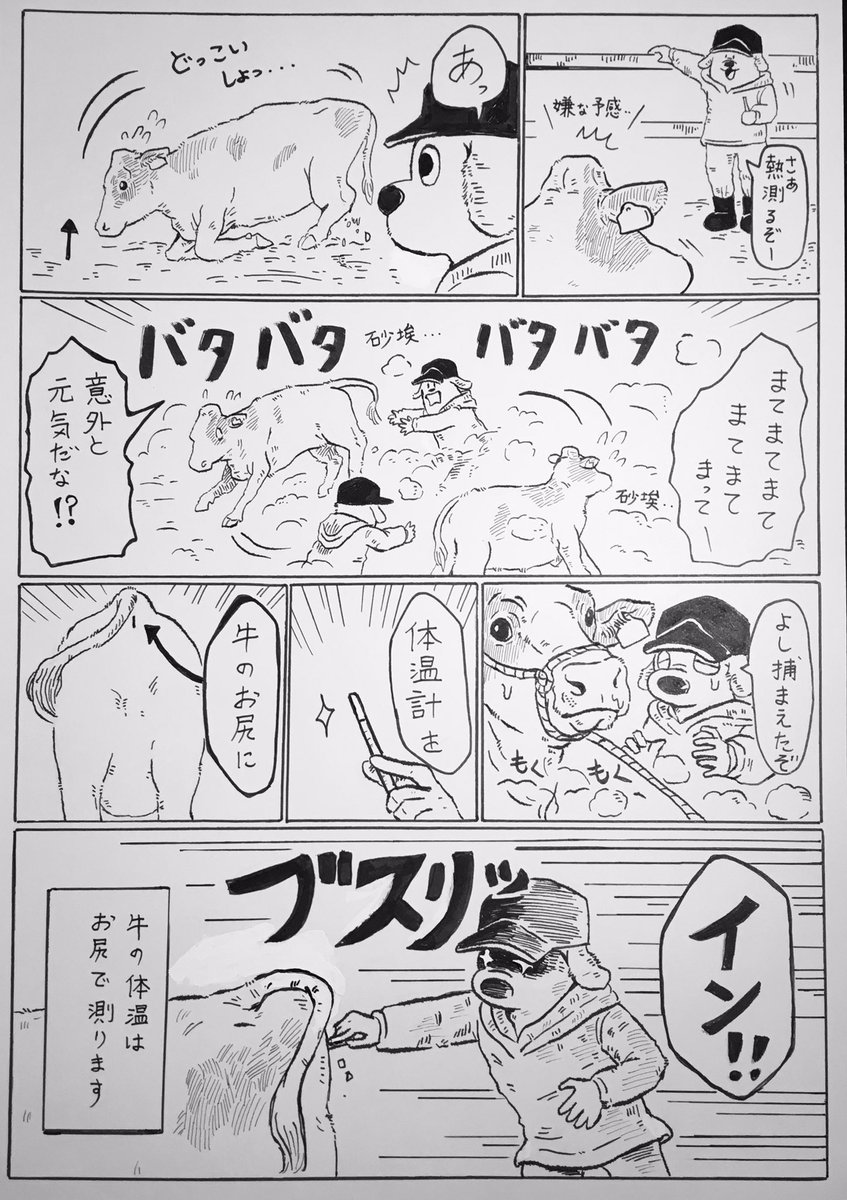 『涙?』

※漫画の中では「砂埃」と描いていますが、実際は「おが屑」(牛の寝床に敷く木屑)が舞い上がっていました。 