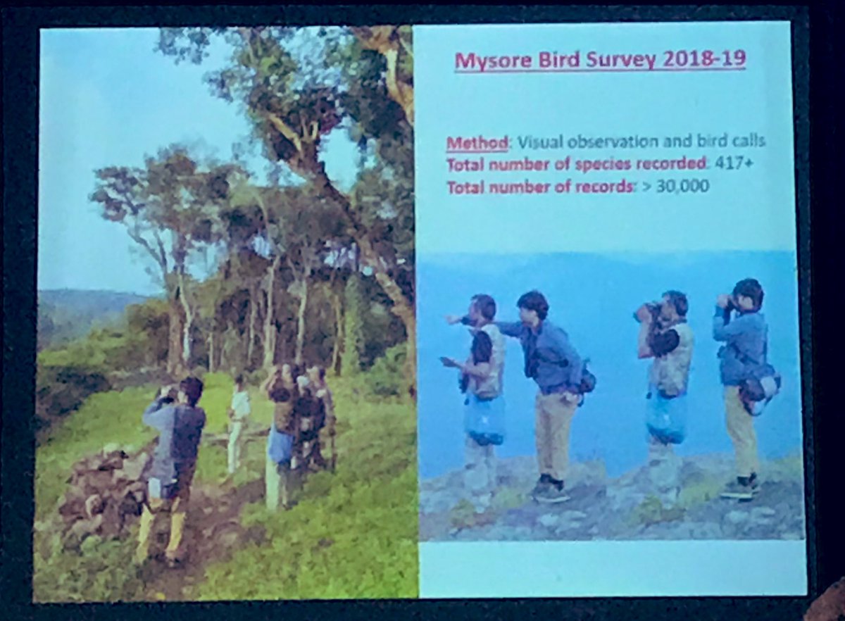 prashanthns's tweet photo. #bengaluru #birdday presentation by Subramanya; results of repeat of #SalimAli #BirdsofMysore survey of 1930s which started in #BRHills (led to #Ranganathittu bird sanctuary identification); was a privilege to join team for bird survey in #brhills; photo of team at Honnametti https://t.co/8qhVSNa7UP