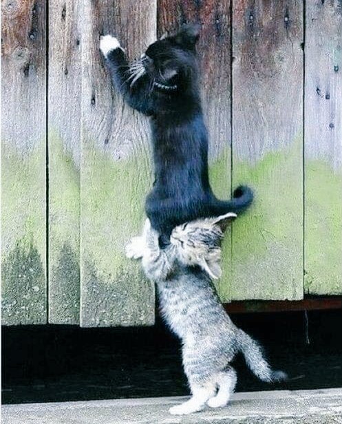 s_msonia's tweet photo. @PMallagray @marilsatinello @rgb_buo @montse131958 @patriceGaubert1 @EstherBenito9 @LadyLaura2610 @maricarmengar15 @_Amy777 @franmartin24 Muchas Gracias #MagicPilar
Feliz SΓ‘bado para ti & para tod@s
Abrazo π»πΎ
#FelizSabado https://t.co/g4FoyIpegb