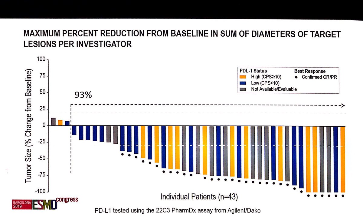 FabioSchutz78's tweet photo. Dr. Hoimes presented the initial results of EV-103 with enfortumab vedotin combined to pembrolizumab in 1st line cisplatin ineligible mUC . Very promising ORR of 71% and 13% CRs. #ESMO19 @MOCBrasil https://t.co/pK8lXSmPwk