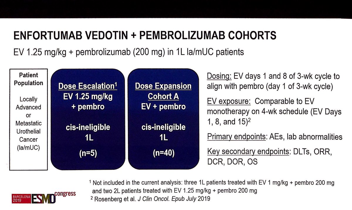 FabioSchutz78's tweet photo. Dr. Hoimes presented the initial results of EV-103 with enfortumab vedotin combined to pembrolizumab in 1st line cisplatin ineligible mUC . Very promising ORR of 71% and 13% CRs. #ESMO19 @MOCBrasil https://t.co/pK8lXSmPwk