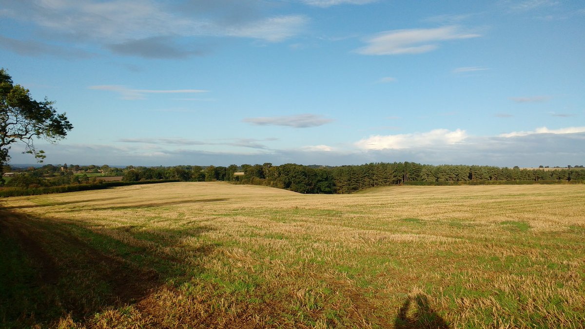 Agronomy_Ron's tweet photo. Autumn #windy #wet #walkng @LincsWoldsAONB https://t.co/s398wsHaF0