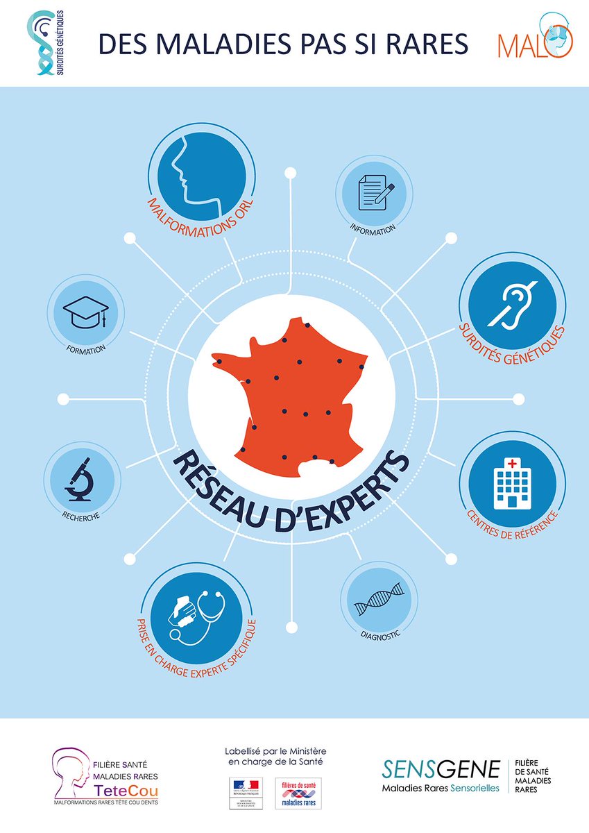 FiliereTETECOU's tweet photo. Retrouvez la @FiliereTETECOU et @sensgene au #congresORL de #SFORL2019 pour informer sur les #maladiesrares en ORL
@twittorl #maladierare https://t.co/nBzinxg39F