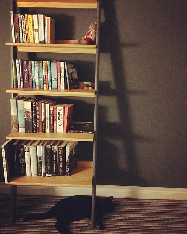 Joss accessorising the bookshelf nicely ift.tt/2mncw20