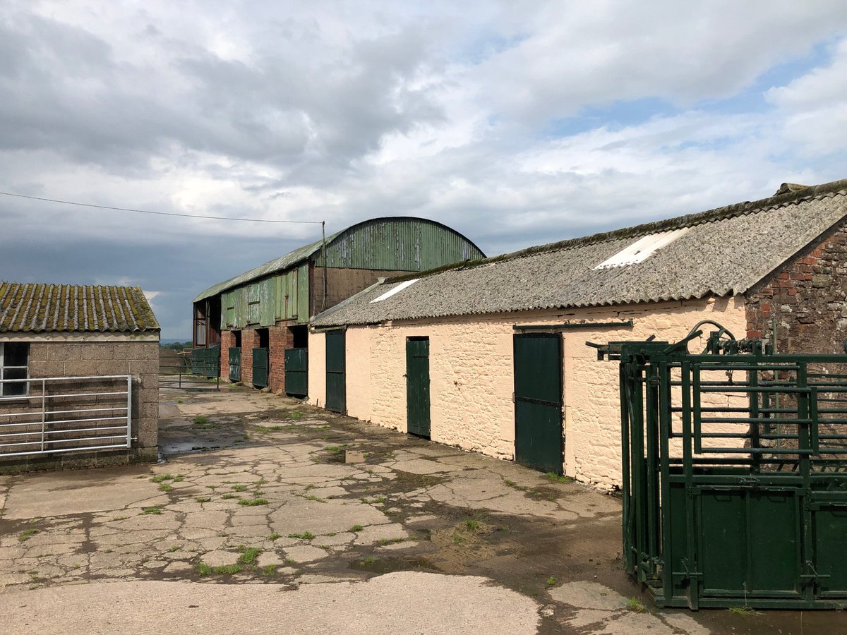 HopesAuction tweet media