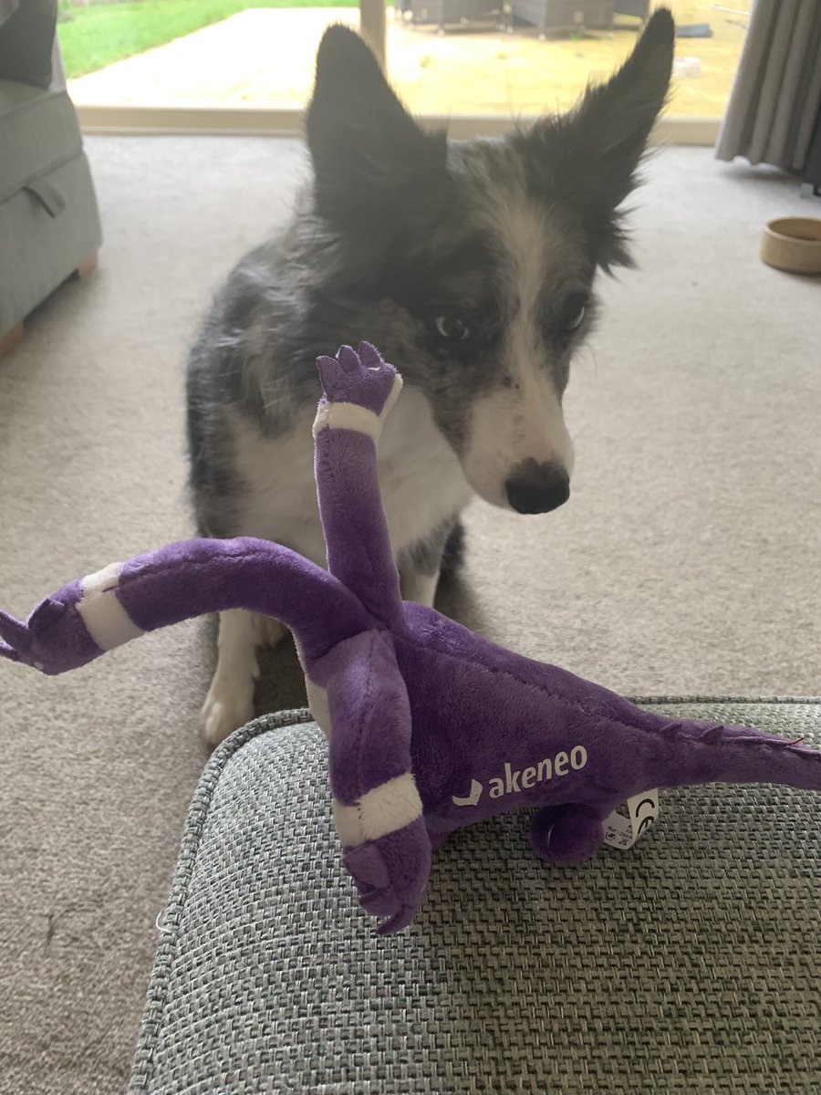 Thanks <a href="/akeneopim/">Akeneo: The Product Experience Company</a> for my new best friend. Great catching up <a href="/ecommerceexpo/">eCommerce Expo</a> 😎😎 #commerce #partnerships