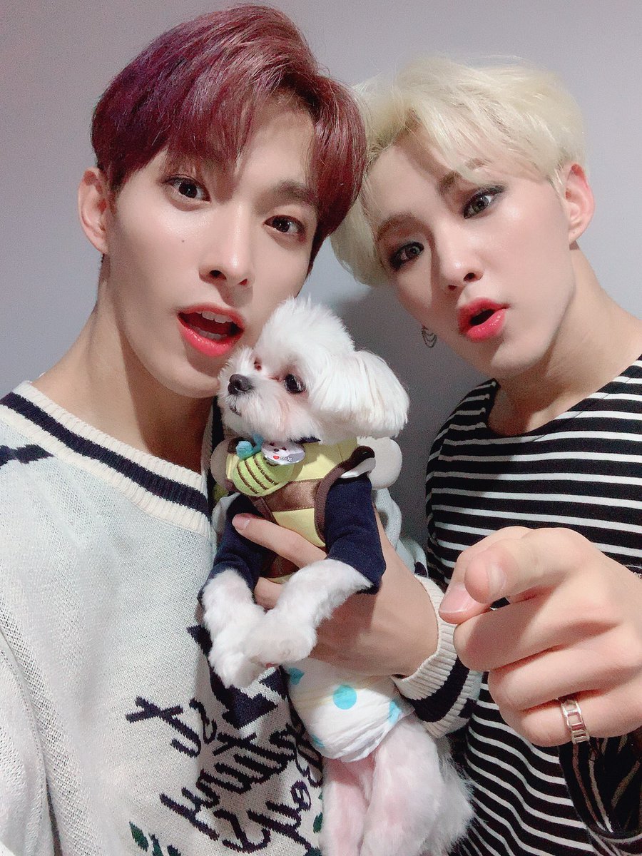 세븐틴(SEVENTEEN) tweet media