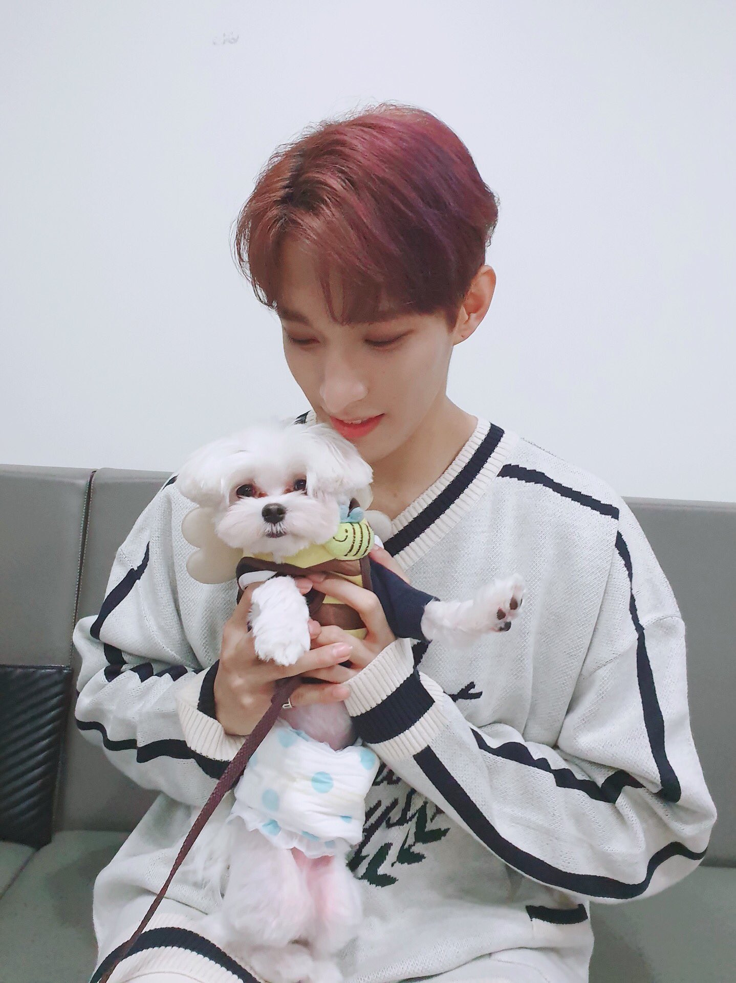 Seventeen Japan Pa Twitter 訳 17 S ドギョム ブク君はまさに 愛だよ これからものびのびすくすくとそだってね ブク Twitter