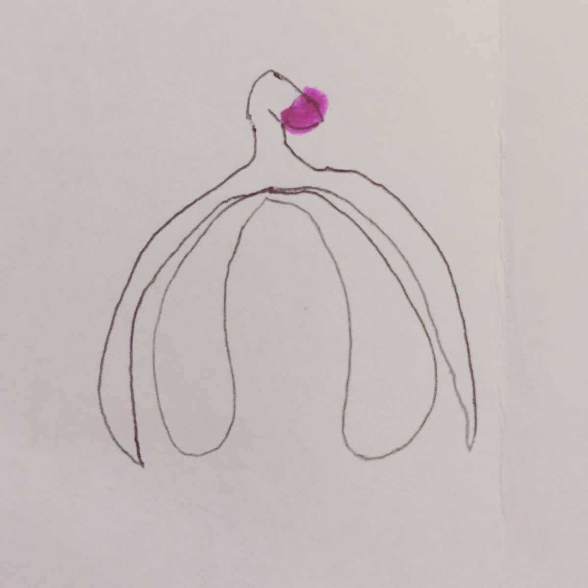 MeresMenageres's tweet image. L’anatomie politique ou comment j’ai pu émerger à 38 ans de l’ignorance dans laquelle on a maintenu les femmes sur leur organe du plaisir, le clitoris #clitoris #itsnotabretzel instagram.com/p/B27ar7GCgft/…