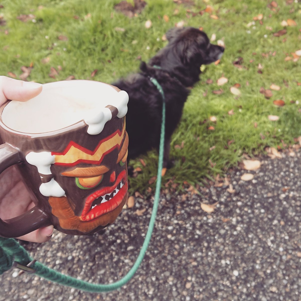 So gehen Gamer Gassi 🤪
Beste Combo am Morgen. Herzenshund, frische Luft und Kaffee 🥰
#herzenshund #gassigehen #kaffee #crashbandicoot #gamer #hunde #ohnekaffeegehtnix #besterhund #kaffeetasse #gassimithund #streamacademy #SupportSmallStreamers #TwitchDE #streamer #GermanMediaRT