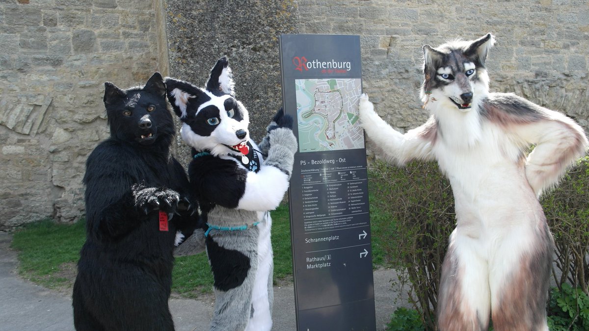BerkWolf 🇩🇪🇳🇱 🔜 GnD 🇩🇪 (@berkwolf) on Twitter photo #WölfleOnTour today #Suitwalk
🌍 = 🇩🇪
🏙 = #Rothenburg ob der #Tauber
🦊 = #Fursuitwalk
🎩 = <a href="/2Pfoten/">Freunde auf 2 Pfoten e. V.</a>
🐺 = as <a href="/witlupus/">Witlupus 🇳🇱 🇩🇪 🔜 EF 🇩🇪</a>
#Furry #Fursuit #Furwalk #FurryFreeStyle #Asia #Altstadt
<a href="/Rothenburg/">Rothenburg / Tauber</a>
Furry Dance project:
📹 <a href="/furryfreestyle/">FurryFreeStyle - Dancevideo</a>
📸 = @taykofox
🐺 = <a href="/Rougfox/">Rougfox</a> & <a href="/Zyxwen/">Zyxwen</a> #WölfleOnTour today #Suitwalk
🌍 = 🇩🇪
🏙 = #Rothenburg ob der #Tauber
🦊 = #Fursuitwalk
🎩 = <a href="/2Pfoten/">Freunde auf 2 Pfoten e. V.</a>
🐺 = as <a href="/witlupus/">Witlupus 🇳🇱 🇩🇪 🔜 EF 🇩🇪</a>
#Furry #Fursuit #Furwalk #FurryFreeStyle #Asia #Altstadt
<a href="/Rothenburg/">Rothenburg / Tauber</a>
Furry Dance project:
📹 <a href="/furryfreestyle/">FurryFreeStyle - Dancevideo</a>
📸 = @taykofox
🐺 = <a href="/Rougfox/">Rougfox</a> & <a href="/Zyxwen/">Zyxwen</a>
