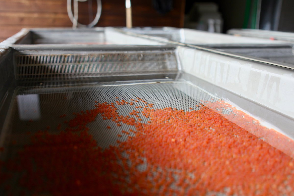 Mere Trout tweet media