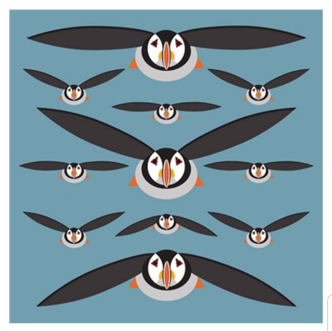arteriashop's tweet photo. Art File cards by Stuart Cox @ Arteria
#SnailMail #PostASmile
๐ https://t.co/fqeq6qKxy1