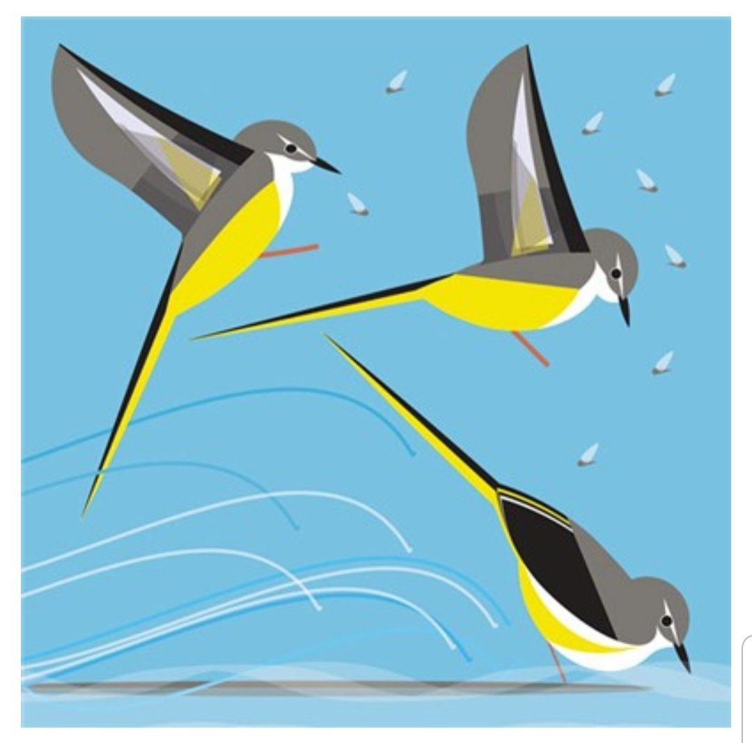 arteriashop's tweet photo. Art File cards by Stuart Cox @ Arteria
#SnailMail #PostASmile
๐ https://t.co/fqeq6qKxy1