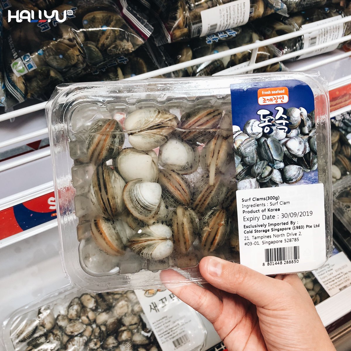 HallyuSG's tweet photo. And not to miss out on the fresh seafood imported from the land of Korea, such as live clams, Abalone, sliced octopus and more!
#CSKoreaFair #SeoulDelicious #coldstoragesg https://t.co/oBbJ2reucT