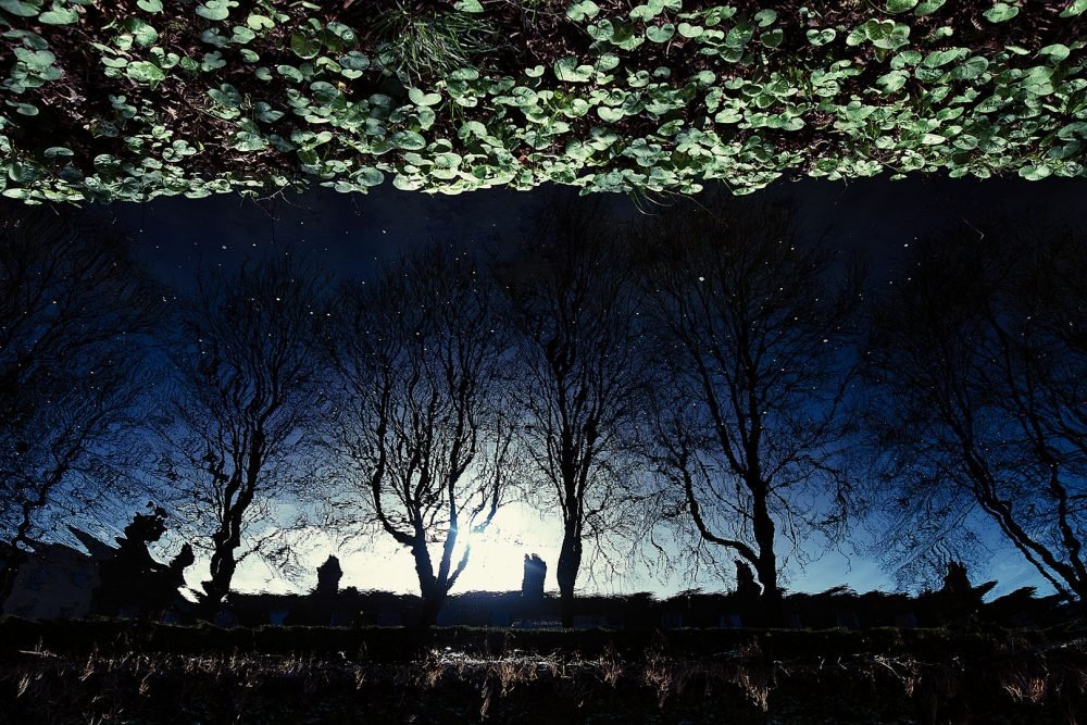 Spontaneity (@spontaneity_art) on Twitter photo Read 'Diverted' by @MarieGethins in the new issue: spontaneity.org/issue-15/diver…
Image 'Stars in the water' by <a href="/sandsphotograp2/">sandsphotography.eu</a> ❤️ #flashfiction #photography #litmag #artmag Read 'Diverted' by @MarieGethins in the new issue: spontaneity.org/issue-15/diver…
Image 'Stars in the water' by <a href="/sandsphotograp2/">sandsphotography.eu</a> ❤️ #flashfiction #photography #litmag #artmag