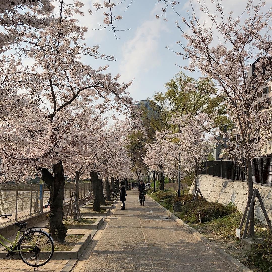 𝐿𝑎 𝑉𝑖𝑒 𝑒𝑛 𝑟𝑜𝑠𝑒 tweet media