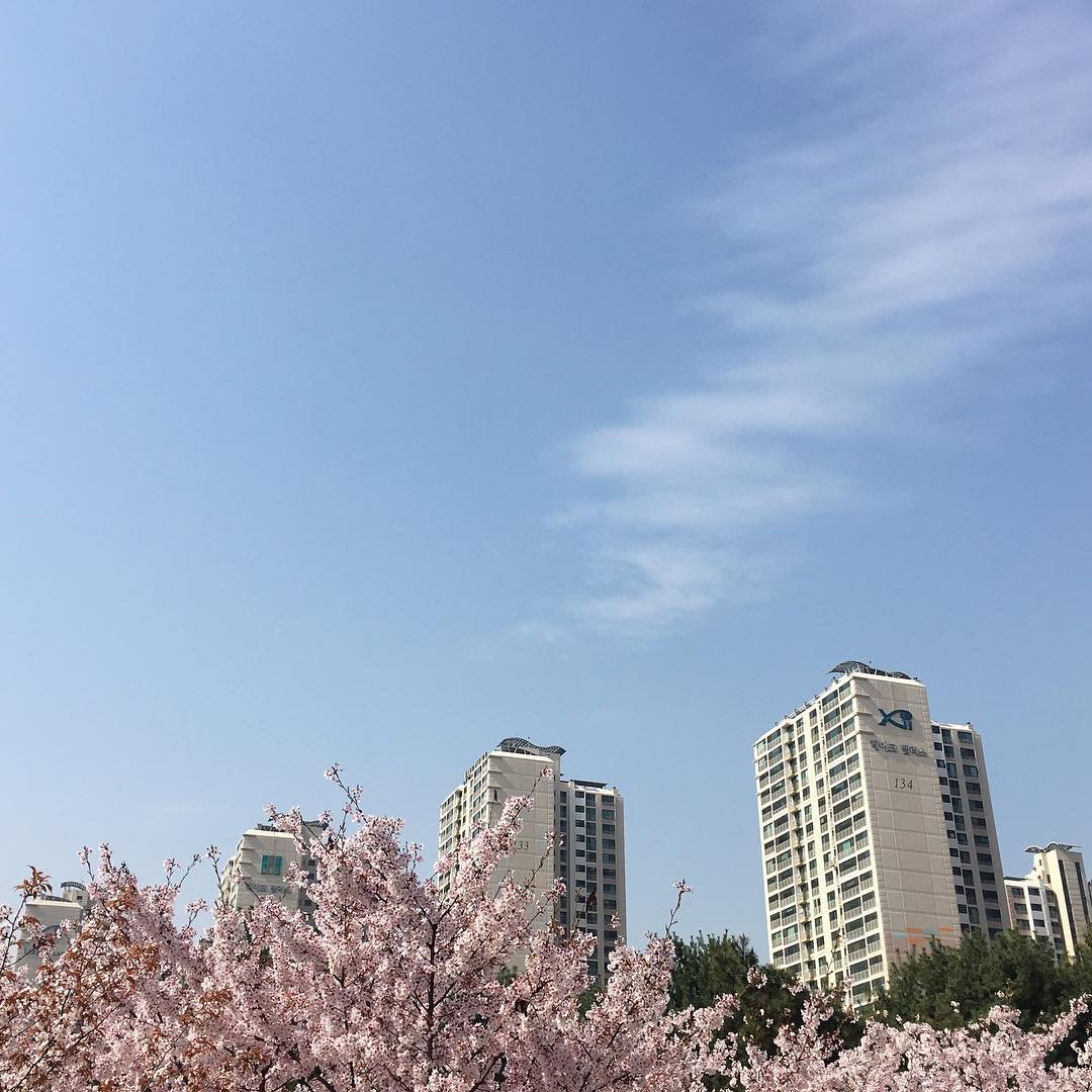 𝐿𝑎 𝑉𝑖𝑒 𝑒𝑛 𝑟𝑜𝑠𝑒 tweet media