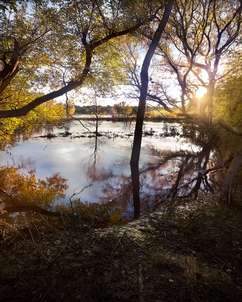iowadnr's tweet photo. We all need wild places to explore - in every season. 👟 

📷 by heckeloutside via Instagram: Summer. Still feeling it. 
#IowaStateParks #IowaStatePreserves #GitchieManitou #ThisIsIowa https://t.co/XoY2x2vVoA