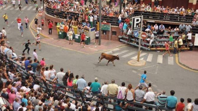ElMuletazo's tweet photo. La Asociación de Festejos Populares de la Región de Murcia arremete contra el ayuntamiento de Abarán por cargarse la suelta de vaquillas #CulturaTaurina #AbaránEsTaurina 
https://t.co/l7eUaUW60u https://t.co/bxsaFDWzQp