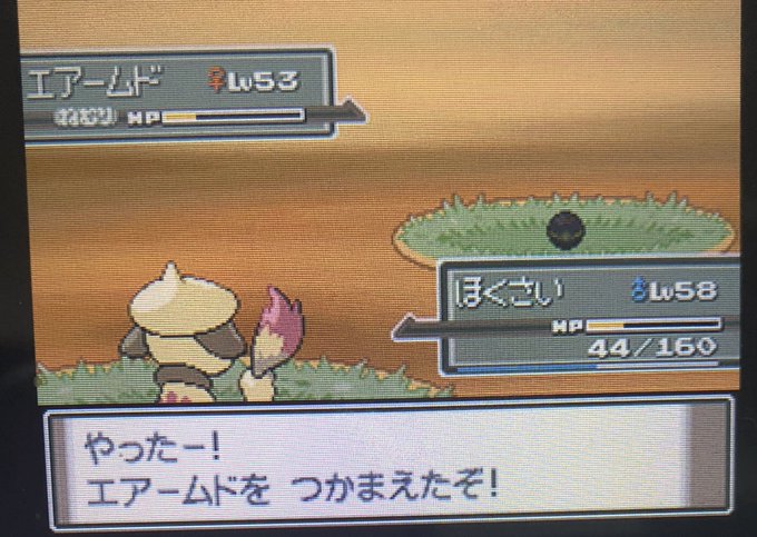 色違いエアームド 色違いポケモンをひたすら集めるブログ Route245