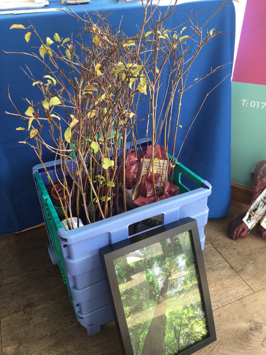 SustainablePECT's tweet photo. We’re @PeterboroughOne Retail Park today and tomorrow, giving away free trees and talking to people about our @CoolFoodNet and @RefillPboro projects. Oh, and there’s a giant whale to discover too! https://t.co/kVwDHHALoB
