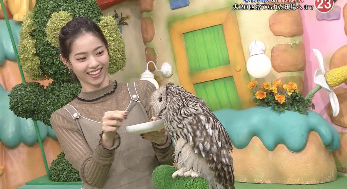 動画 西野七瀬さんが志村どうぶつ園に衝撃的すぎる髪型で登場 志村 動画 西野七瀬さんが志村どうぶつ園に衝撃的すぎる髪型で登場 志村