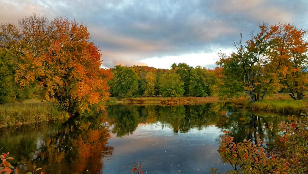 Fall foliage is the most beautiful time of the year.