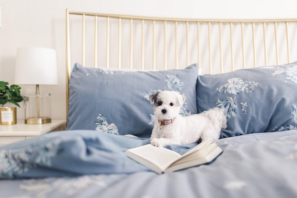 Lc Lauren Conrad On Twitter Today S Plans Nap Read Repeat