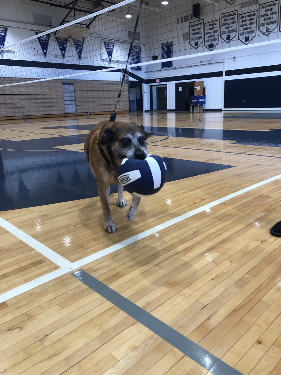 meet our newest player, Captain!!