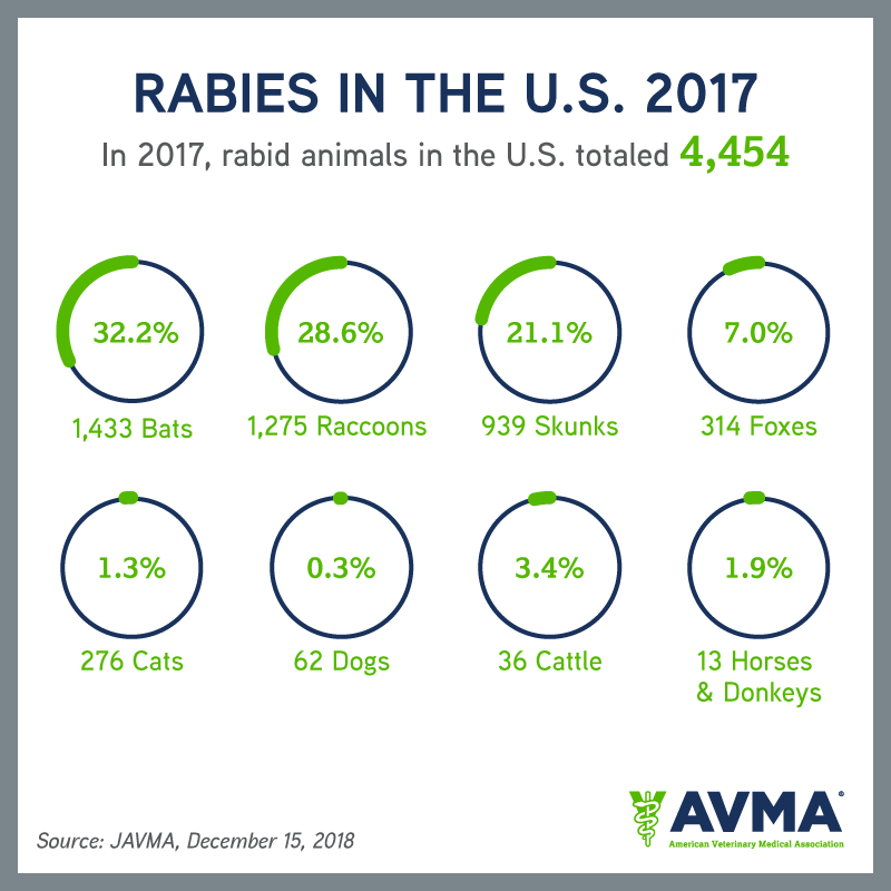 AVMAvets's tweet image. Today is #WorldRabiesDay. Here are 3️⃣ facts to know about #rabies in the US. Remember, vaccination is the foundation of all rabies control efforts. 🦇
#VaccinatetoEliminate