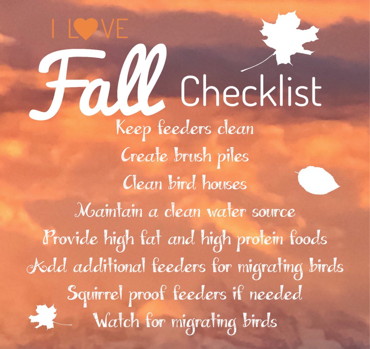 Fall birding checklist. #wildbirdsunlimited. #BringBirdsBack