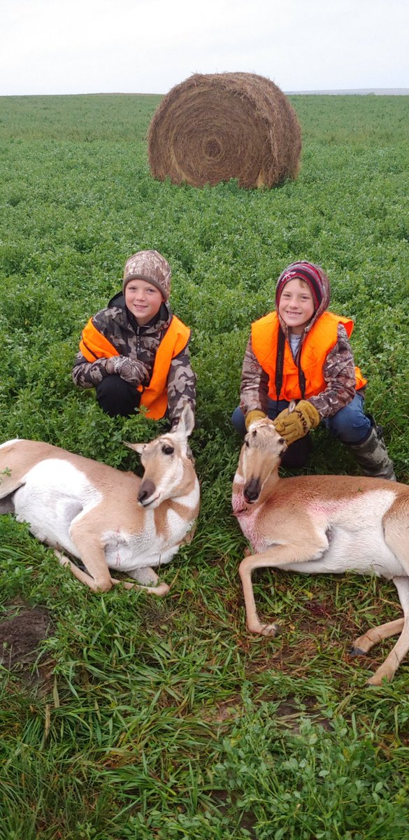 Jeffsimonsen3's tweet photo. The boys got it done this morning #huntsd https://t.co/Vsg9pBESfK