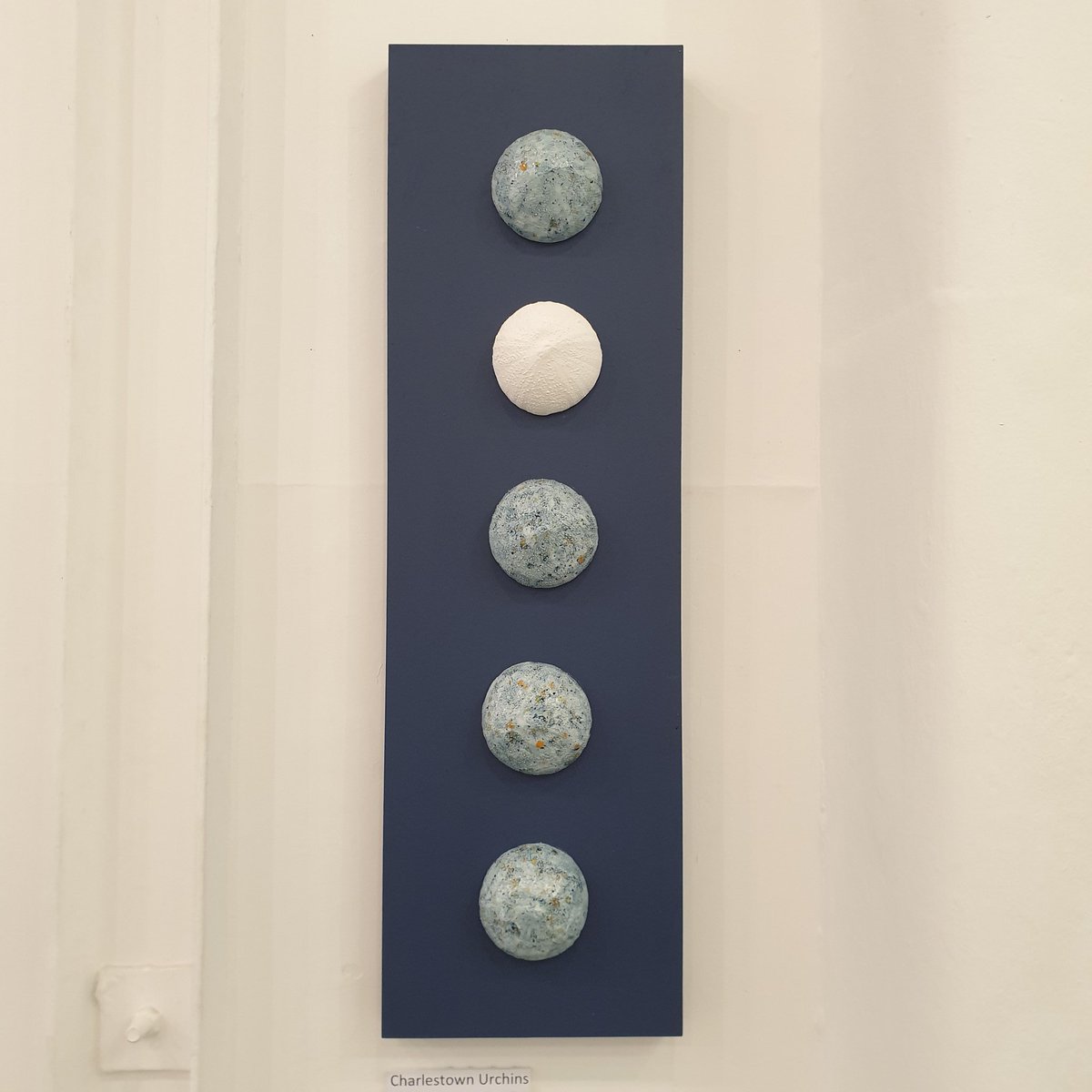 artists_maze's tweet photo. Come visit #alchemybristol exhibition at @CentrespaceBS1, where you'll find ceramic work by 17 artists from Maze Studios including Karla Turner, who's inspiration comes from coastal landscape &amp; fauna. Many of her sculptural &amp; functional pieces on show are inspired by sea urchins. https://t.co/fw9rVsRZFh