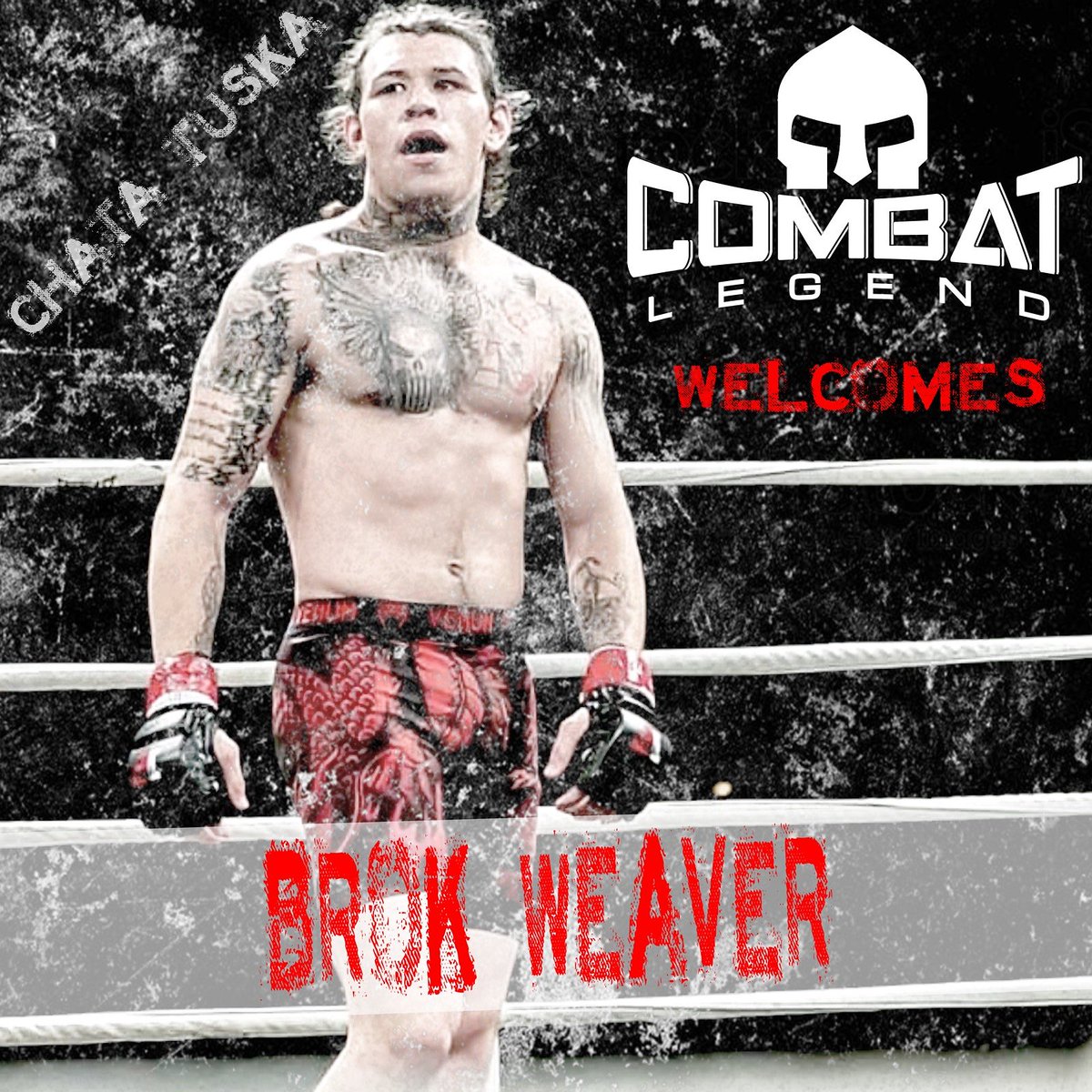 COMBATLEGEND1's tweet photo. Combat Legend Welcomes Brok Weaver,  A.K.A. Chata Tuska. Representing The MOWA Band of Choctaw Indians, Brok's veins pump the Blood of some of truest warriors this land has ever seen. His story is just getting started in...SEEMOREONINSTAGRAM

#BROKWEAVER #CHATATUSKA https://t.co/vGIrglHlTE